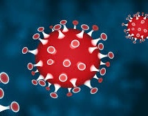 [coronavirus]
